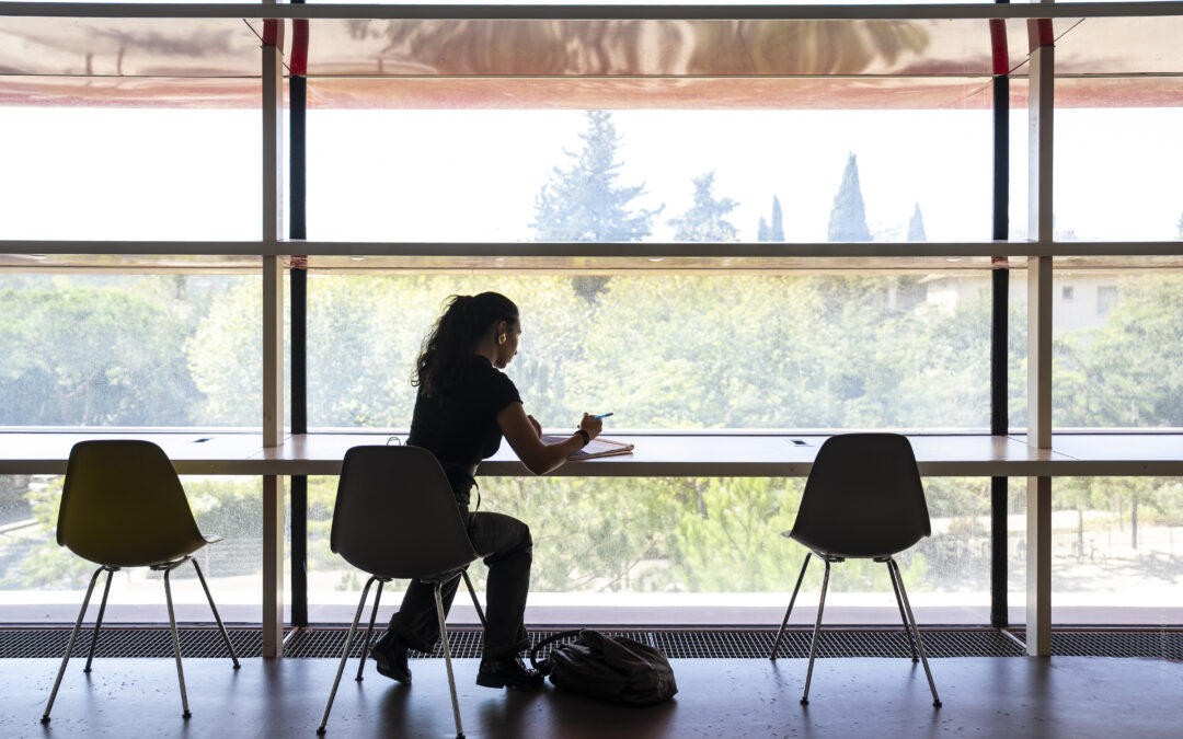 Focus sur le nouveau Diplôme Universitaire Innovations